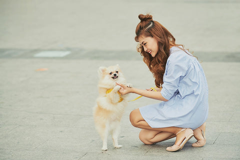 How to Teach Your Dog Their Name: Fun and Effective Tips
