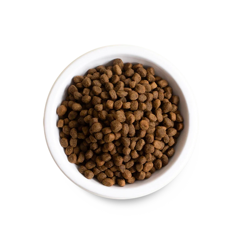 New Zealand Venison Grain-Free Dry Dog Food