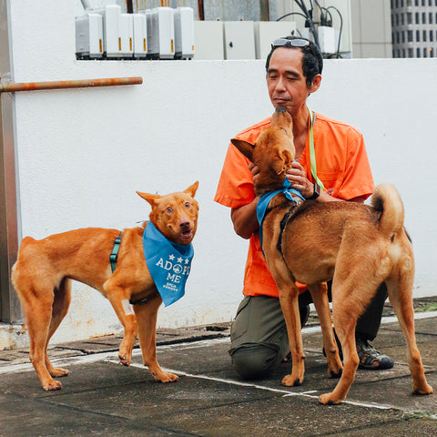 SPCA