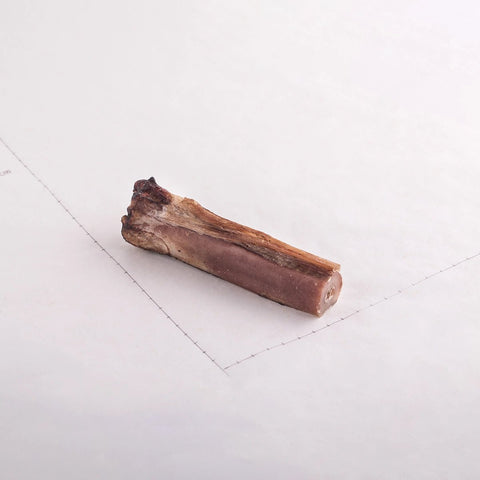 Deer Shank Bone - Dear Deer - ONE WOOF CLUB