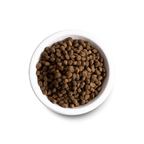 Pasture-Raised Lamb Grain-Free Dry Dog Food - Open Farm - ONE WOOF CLUB
