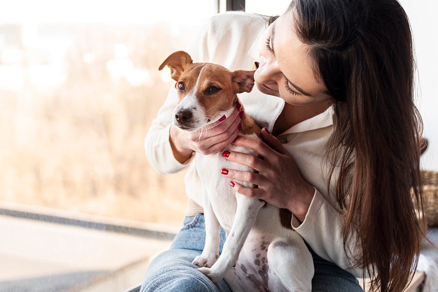 10 Things to Stop Doing to Improve Relationship with Your Dog - ONE WOOF CLUB