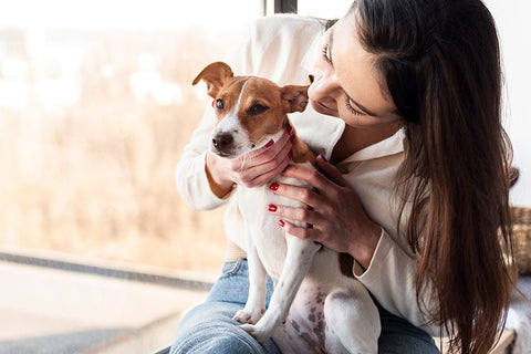 10 Things to Stop Doing to Improve Relationship with Your Dog - ONE WOOF CLUB