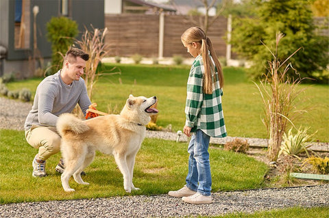 Greeting dogs 101 - ONE WOOF CLUB