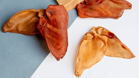 Pig Ears: All-Natural Dog Chews Benefits and Risks - ONE WOOF CLUB