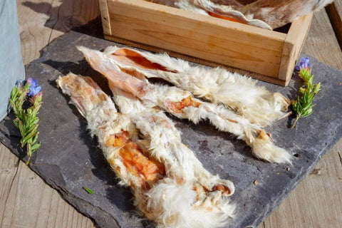 Rabbit Ears: All-Natural Dog Chews Benefits and Risks - ONE WOOF CLUB