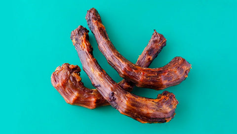 Turkey Neck: All-Natural Dog Chews Benefits and Risks - ONE WOOF CLUB