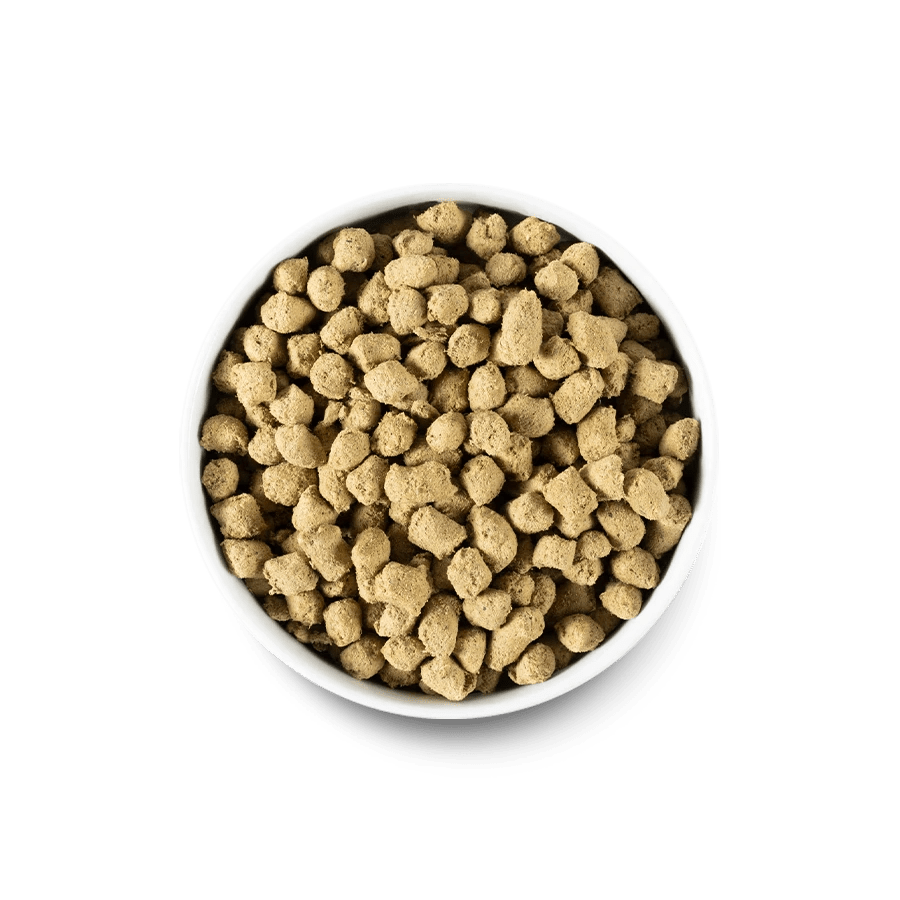 Harvest Chicken Freeze Dried Raw