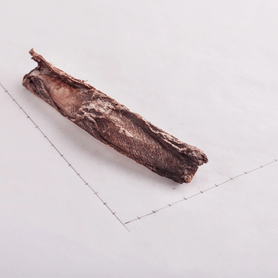 Dear Ribs - Dehydrated Venison Ribs - 100g