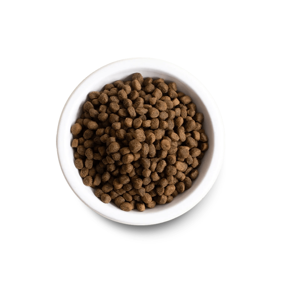 Pasture-Raised Lamb Grain-Free Dry Dog Food