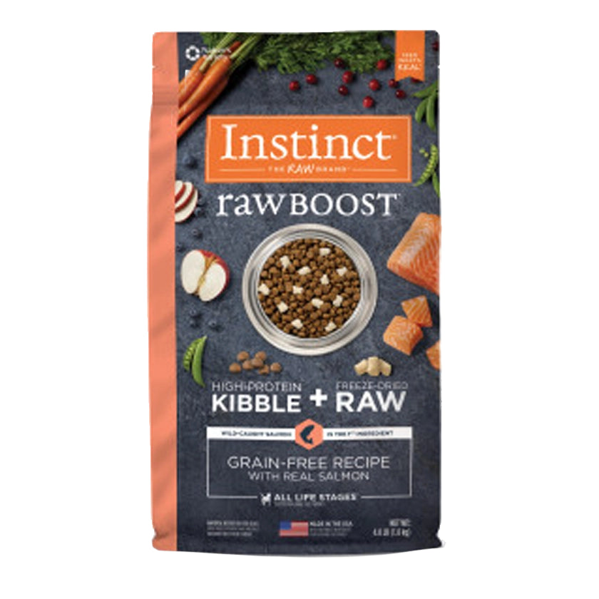 Raw Boost Salmon Recipe