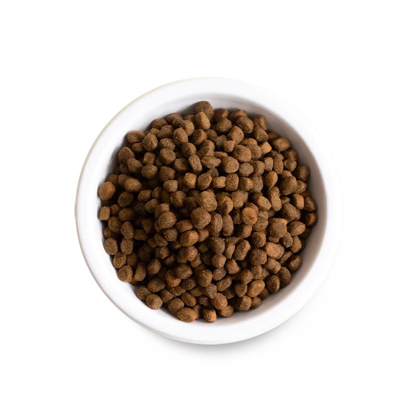 New Zealand Venison Grain-Free Dry Dog Food