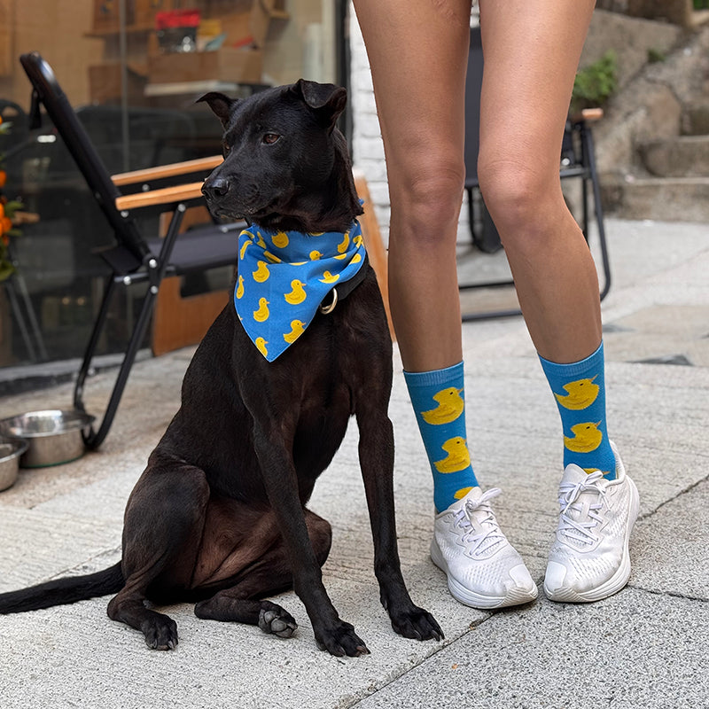 Black dog wearing a blue bandana with yellow duck patterns, sitting next to a person wearing matching socks and shoes.