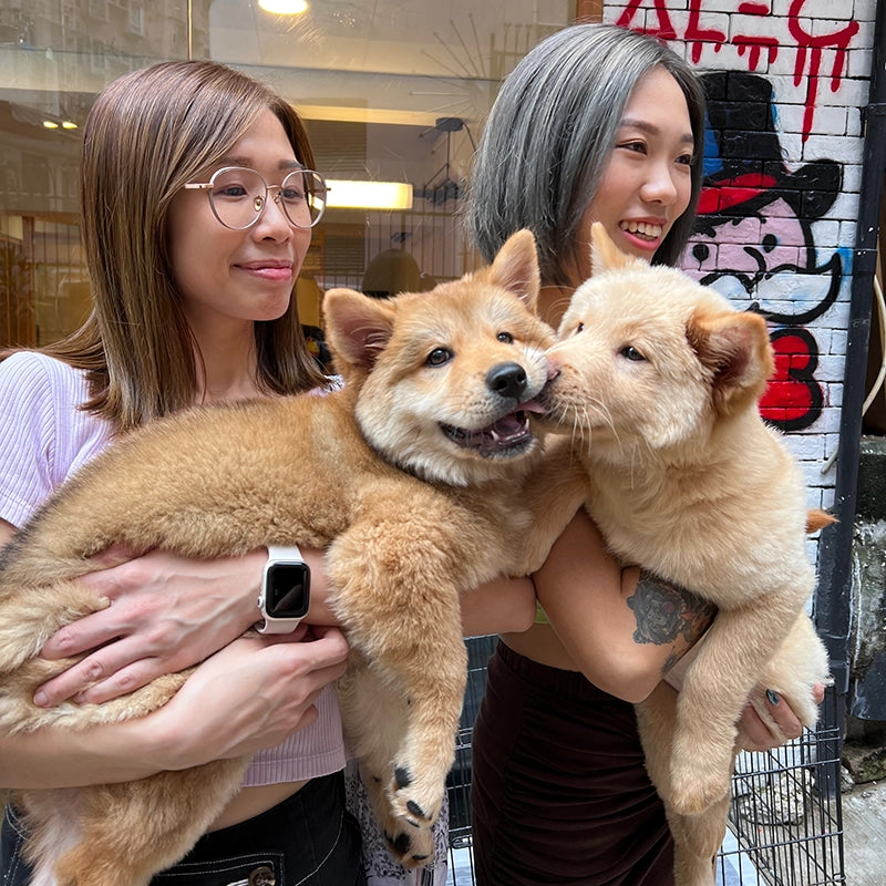 Two women holding two dogs in an urban setting with graffiti.