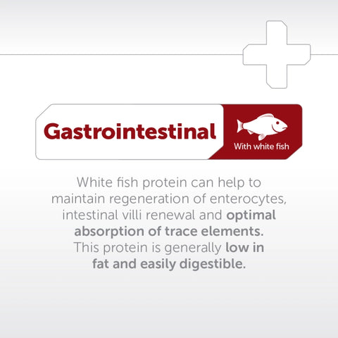 Gastrointestinal - Veterinary Diet with White Fish