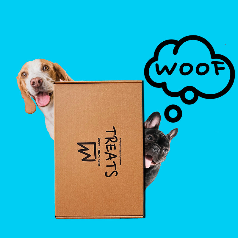 WOOF BOX