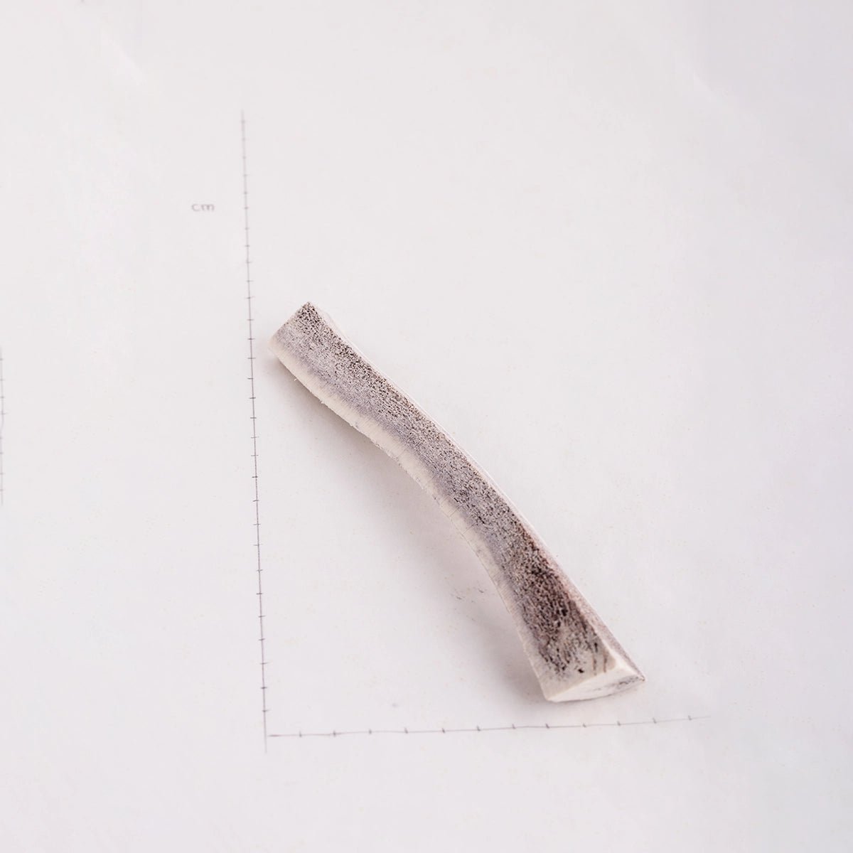 Deer Antler (Large) - Dear Deer - ONE WOOF CLUB